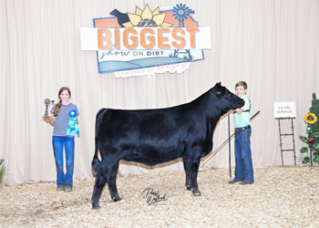 Phenotype & Genotype Heifer Class 7