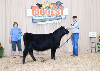 Phenotype & Genotype Heifer Class 4