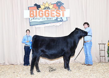 Owned Heifer Class 26