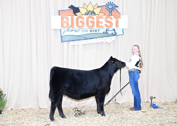 Owned Heifer Class 4
