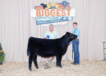 Owned Heifer Class 7