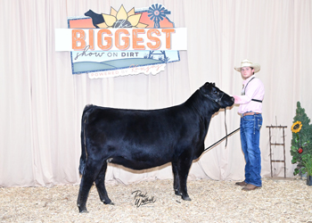 Owned Heifer Class 33