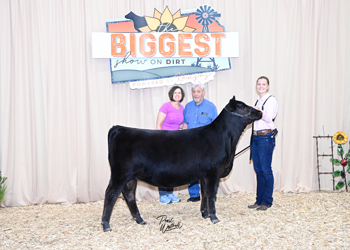 Phenotype & Genotype Heifer Class 1