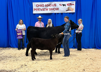 Grand Champion Cow-calf Pair