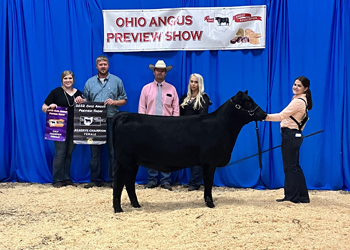Reserve Grand Champion Female