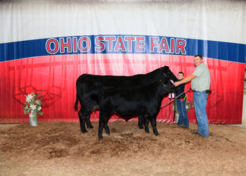 Reserve Grand Champion Cow-calf Pair
