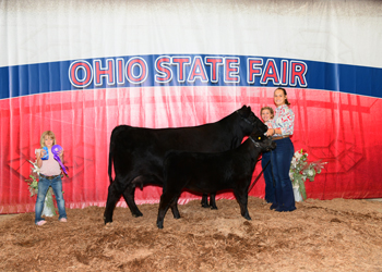 Grand Champion Cow-calf Pair