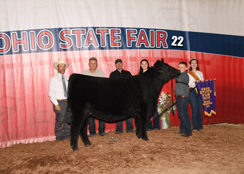 Grand Champion Female