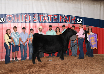 Reserve Grand Champion Female