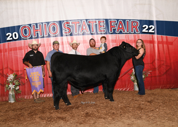 Reserve Grand Champion Bull