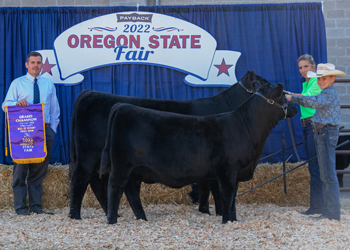 Grand Champion Cow-calf Pair