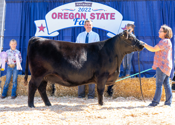 Reserve Senior Champion Female