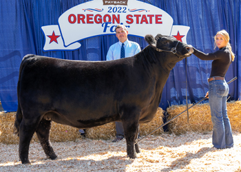 Senior Champion Female