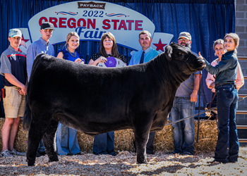 Reserve Grand Champion Female