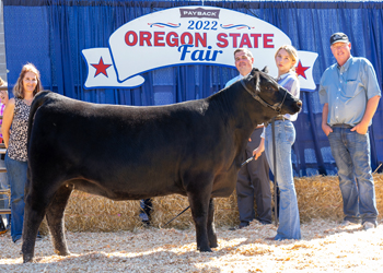 Reserve Junior Champion Heifer