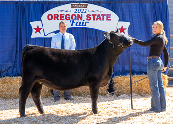 Reserve Senior Heifer Calf Champion