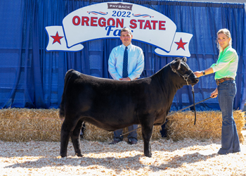 Reserve Junior Heifer Calf Champion