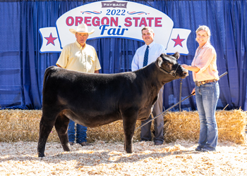 Junior Heifer Calf Champion