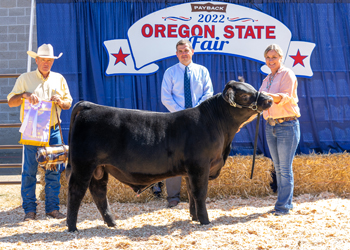 Reserve Grand Champion Bull