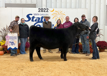 Reserve Grand Champion Female