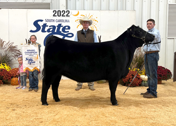 Grand Champion Female