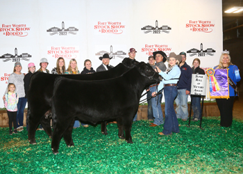 Grand Champion Cow-calf Pair