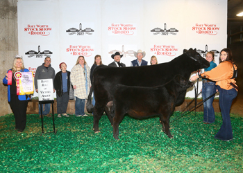 Reserve Grand Champion Cow-calf Pair