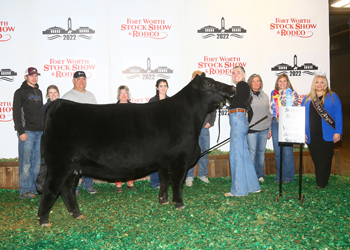 Senior Champion Female