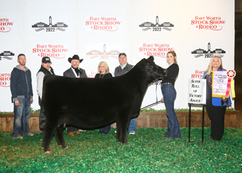 Reserve Grand Champion Female