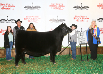 Reserve Junior Champion Heifer