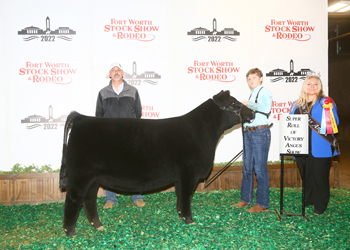 Early Junior Heifer Calf Champion