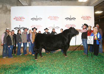 Reserve Intermediate Champion Bull