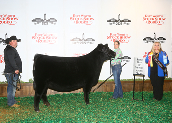 Reserve Senior Heifer Calf Champion