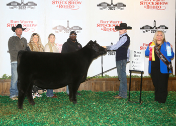Reserve Early Junior Heifer Calf Champion