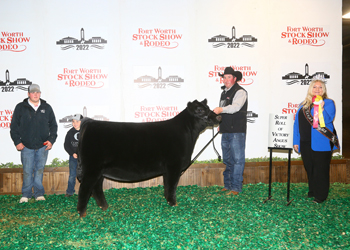Reserve Late Junior Heifer Calf Champion