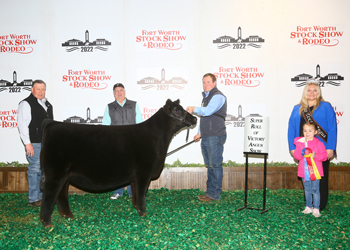 Late Junior Heifer Calf Champion