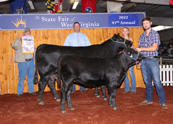 Reserve Grand Champion Cow-calf Pair