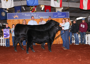 Grand Champion Cow-calf Pair