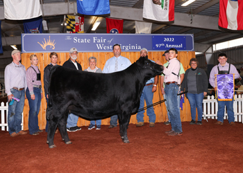 Grand Champion Female
