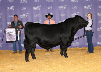 Reserve Grand Champion Bull