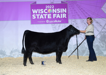 Reserve Grand Champion Female