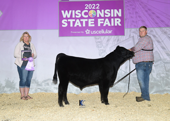 Reserve Grand Champion Bull