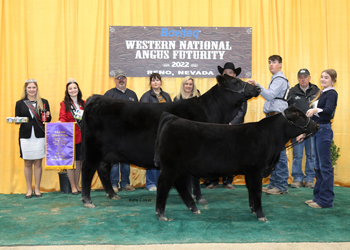 Grand Champion Cow-calf Pair