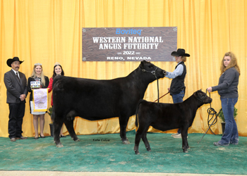 Reserve Grand Champion Cow-calf Pair