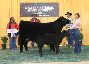 Reserve Junior Champion Heifer
