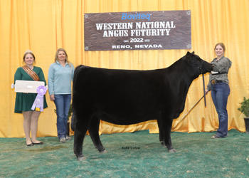 Reserve Senior Heifer Calf Champion