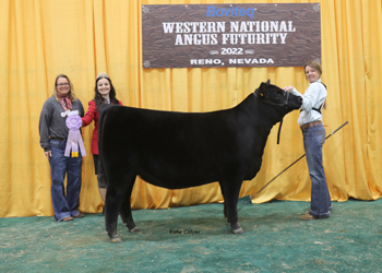 Reserve Junior Heifer Calf Champion - Division 1