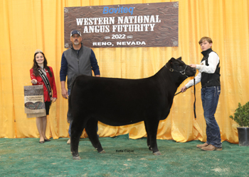 Summer Heifer Calf Champion