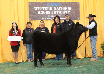 Reserve Summer Heifer Calf Champion