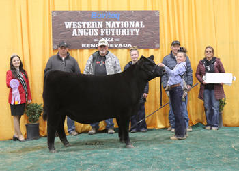 Reserve Junior Heifer Calf Champion - Division 3